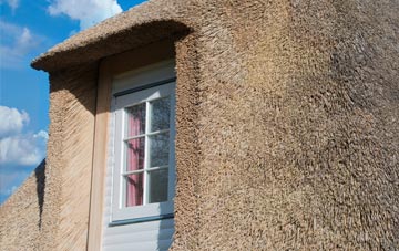 Auldhouse thatch roof disadvantages