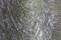 Auldhouse fibreglass roof work